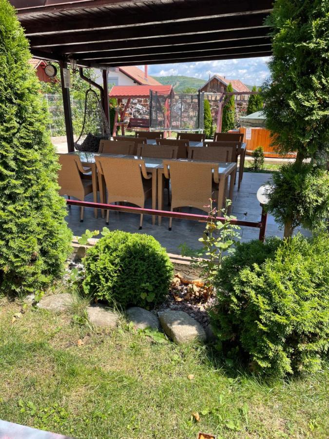 Pensiunea Casa Rica Călimăneşti 外观 照片