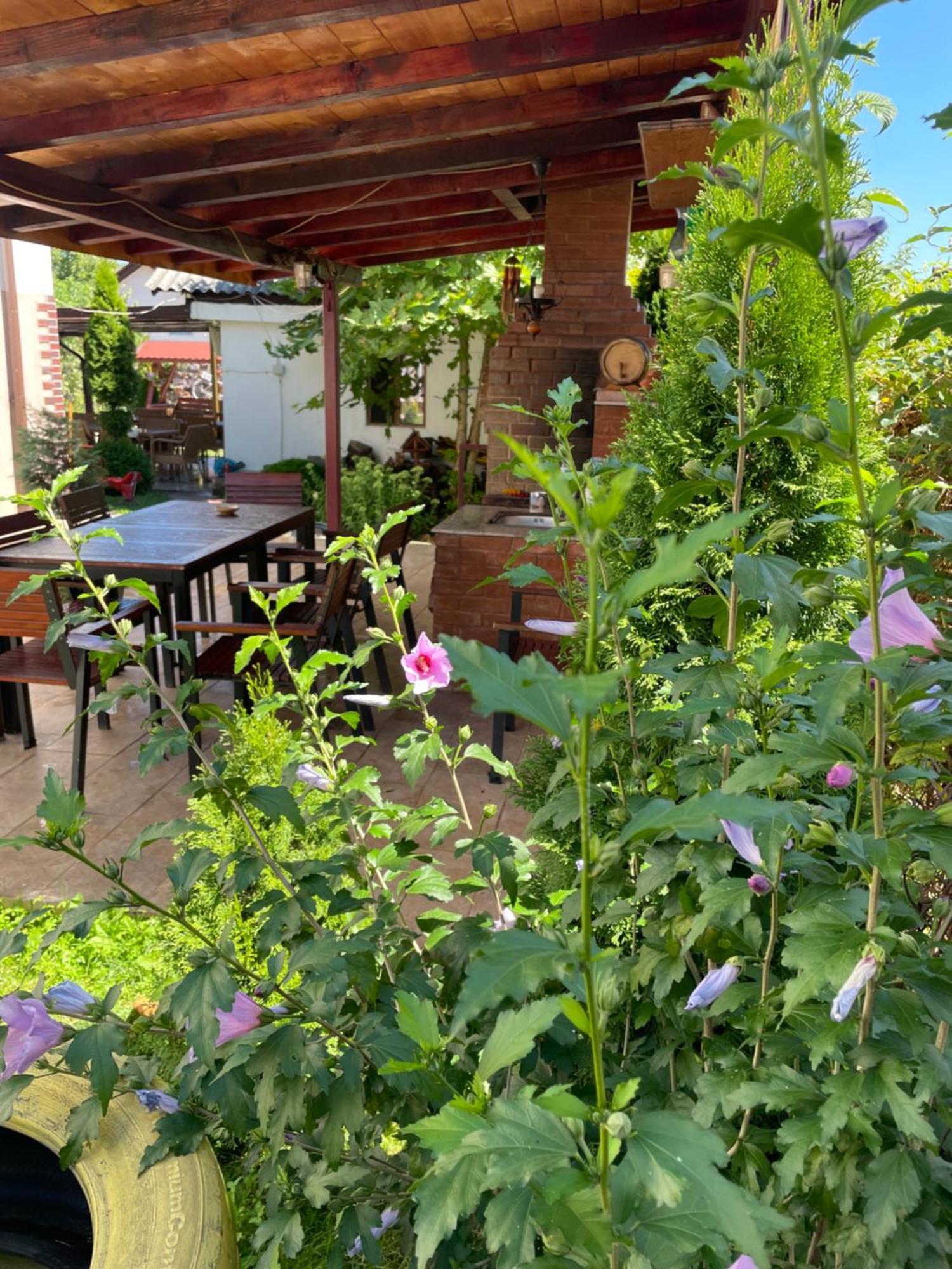 Pensiunea Casa Rica Călimăneşti 外观 照片