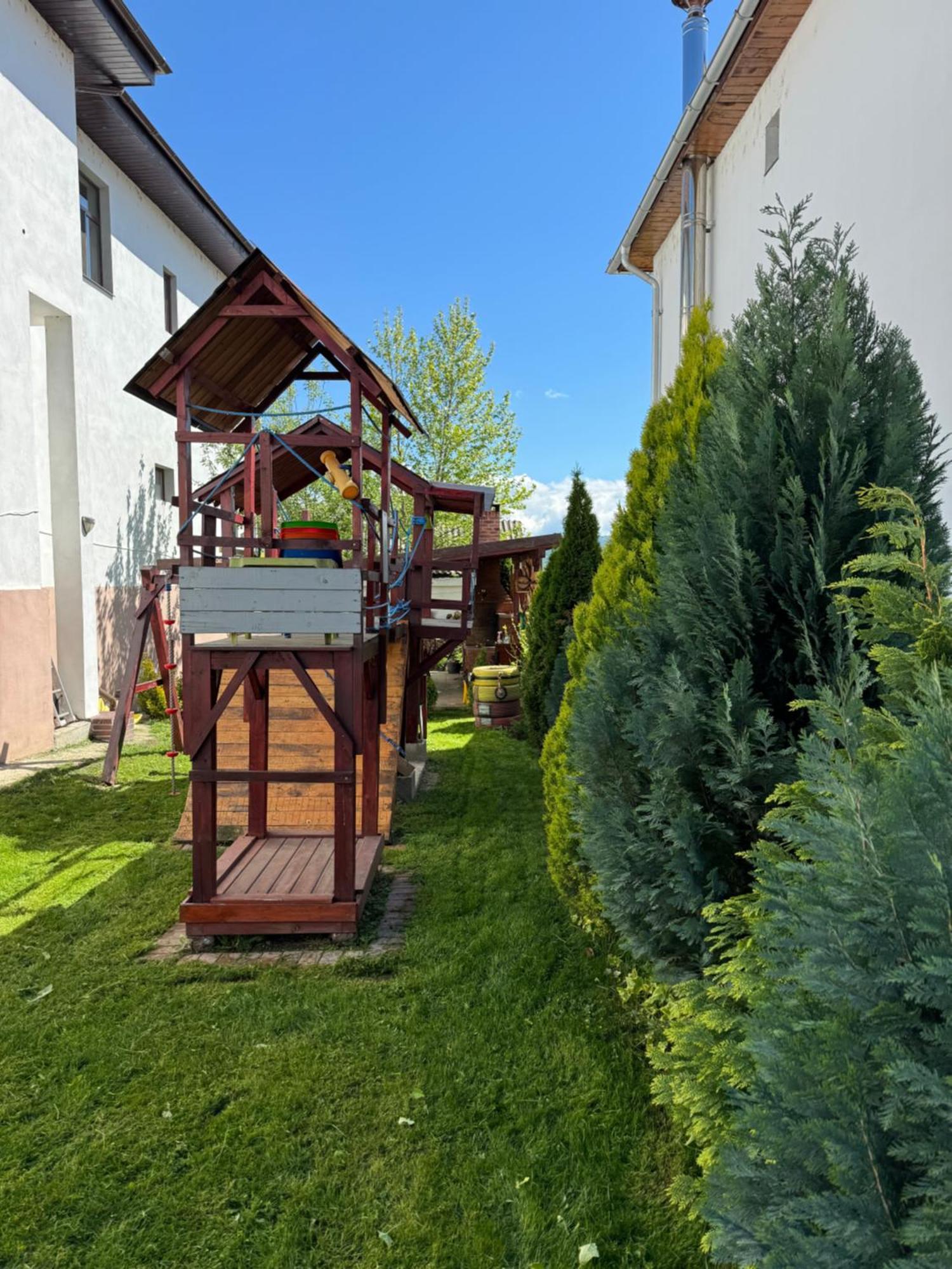 Pensiunea Casa Rica Călimăneşti 外观 照片
