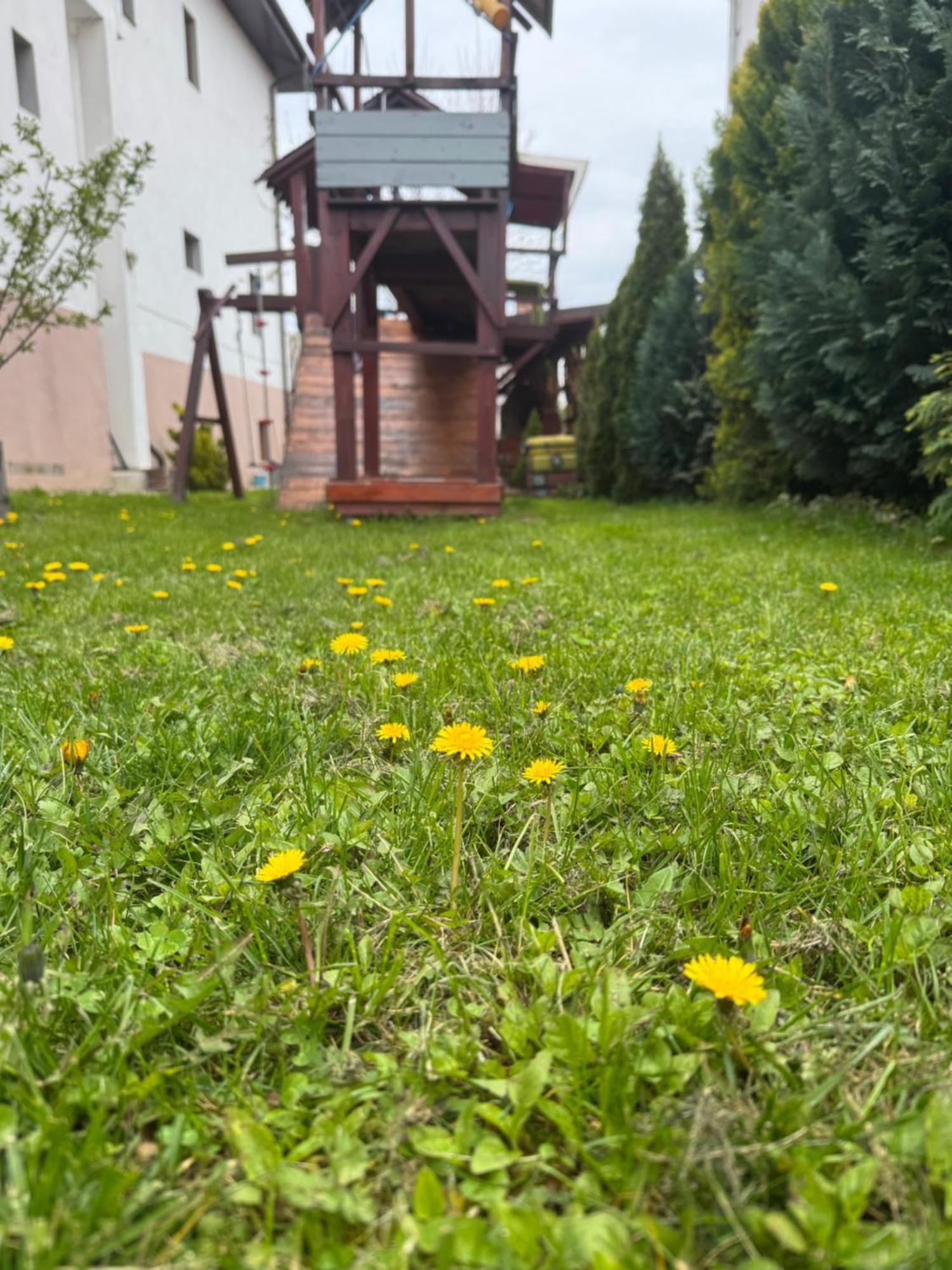 Pensiunea Casa Rica Călimăneşti 外观 照片